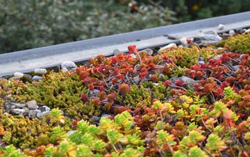 the cost of Corney green roof installation