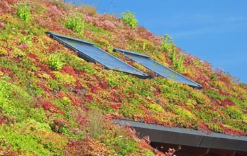 Corney living roof systems